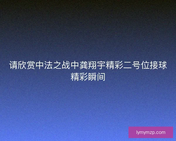 请欣赏中法之战中龚翔宇精彩二号位接球精彩瞬间