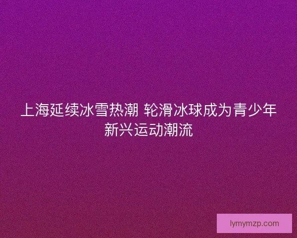 上海延续冰雪热潮 轮滑冰球成为青少年新兴运动潮流 上海延续冰雪热潮 轮滑冰球成为青少年新兴运动潮流