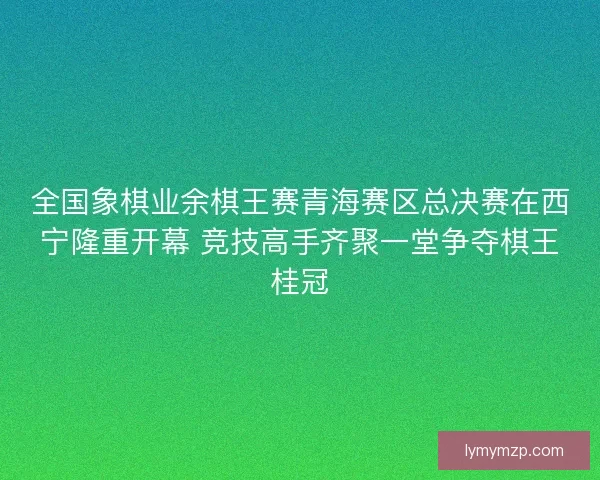 全国象棋业余棋王赛青海赛区总决赛在西宁隆重开幕 竞技高手齐聚一堂争夺棋王桂冠