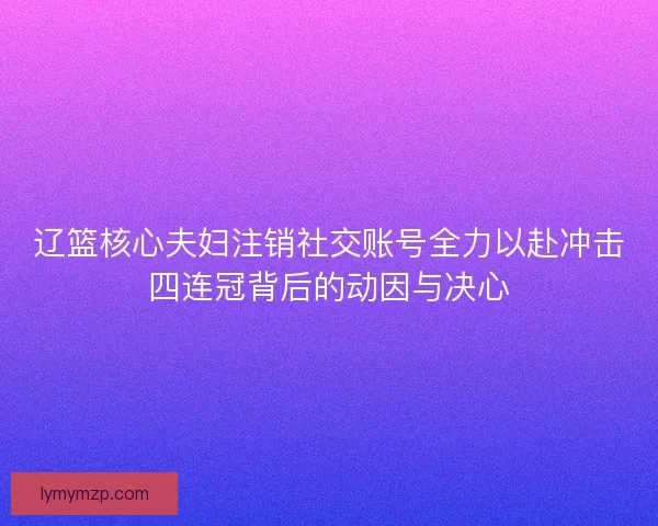 辽篮核心夫妇注销社交账号全力以赴冲击四连冠背后的动因与决心